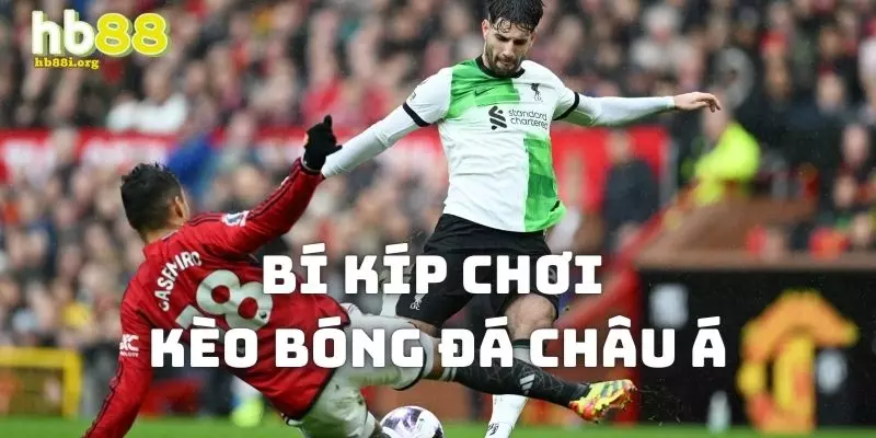 Bí quyết giúp mọi bet thủ ăn tiền trong thể loại cá độ kèo châu Á