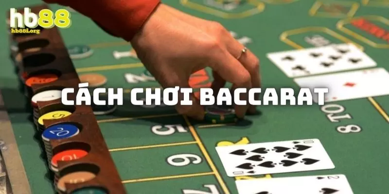 Chia sẻ cách chơi Baccarat cơ bản cho tân thủ