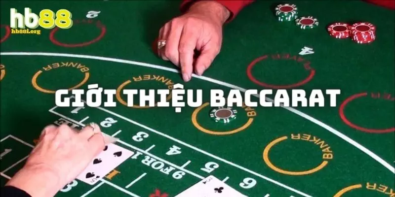 Giới thiệu đôi nét về cách chơi Baccarat