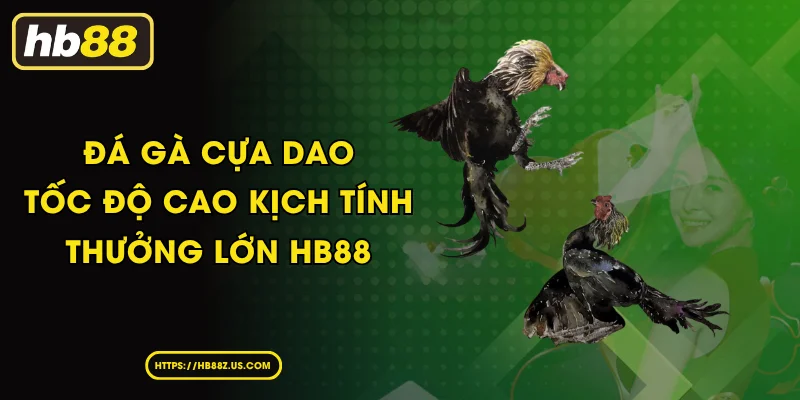 Đá Gà Cựa Dao - Tốc Độ Cao Kịch Tính Thưởng Lớn HB88