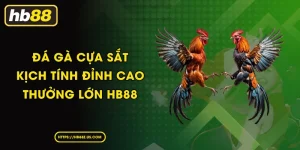 Đá Gà Cựa Sắt - Kịch Tính Đỉnh Cao Thưởng Lớn HB88